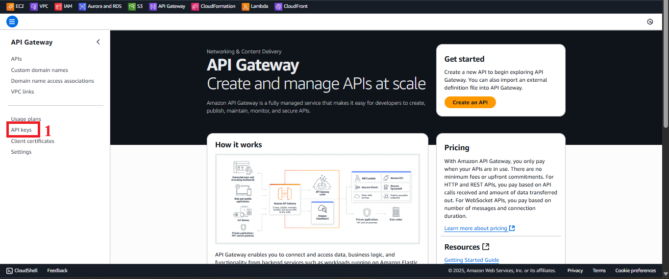 Navigation Menu with API Keys Option