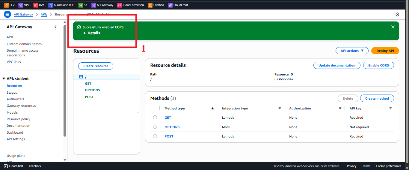 Success message after enabling CORS.